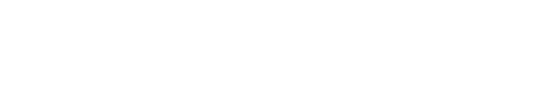 Pavani Inc